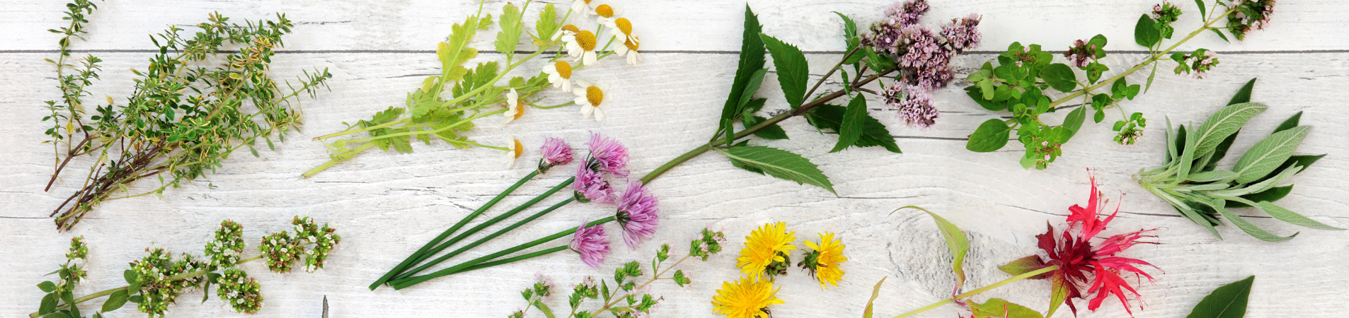 Benefits of Living a Low Tox Life & How to Start