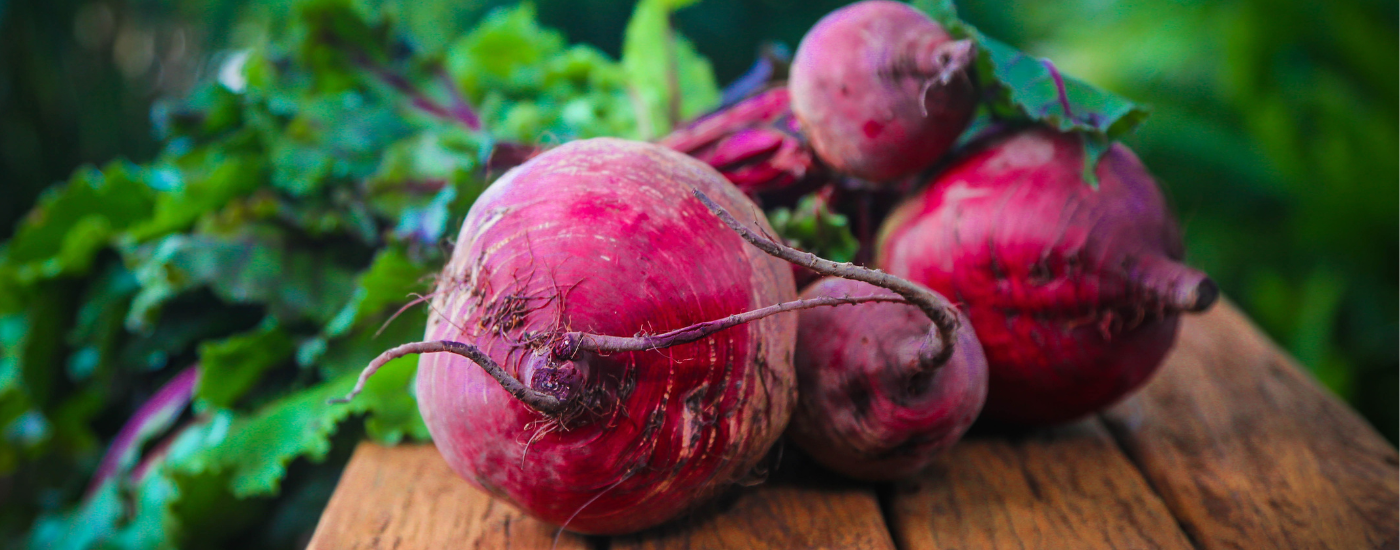 Beetroot  (Beta vulgaris)