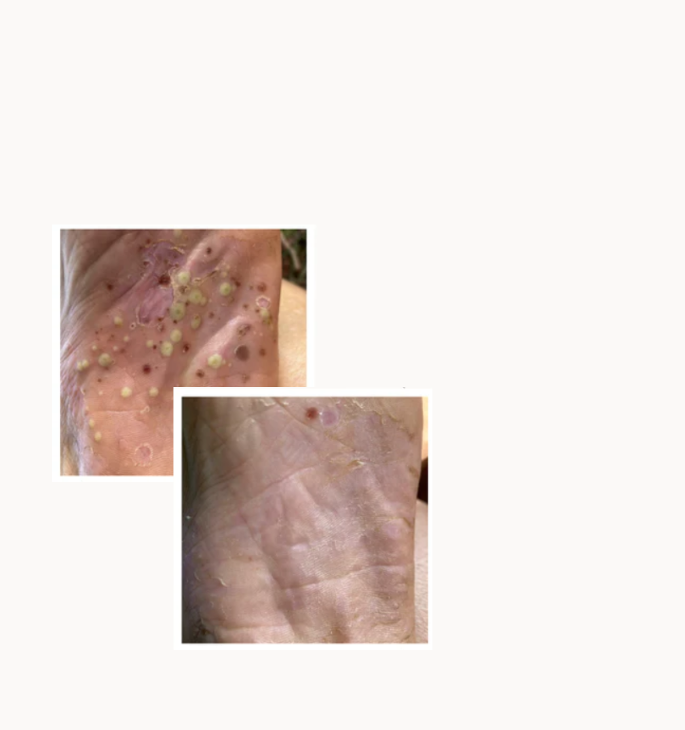 Slideshow Image 5